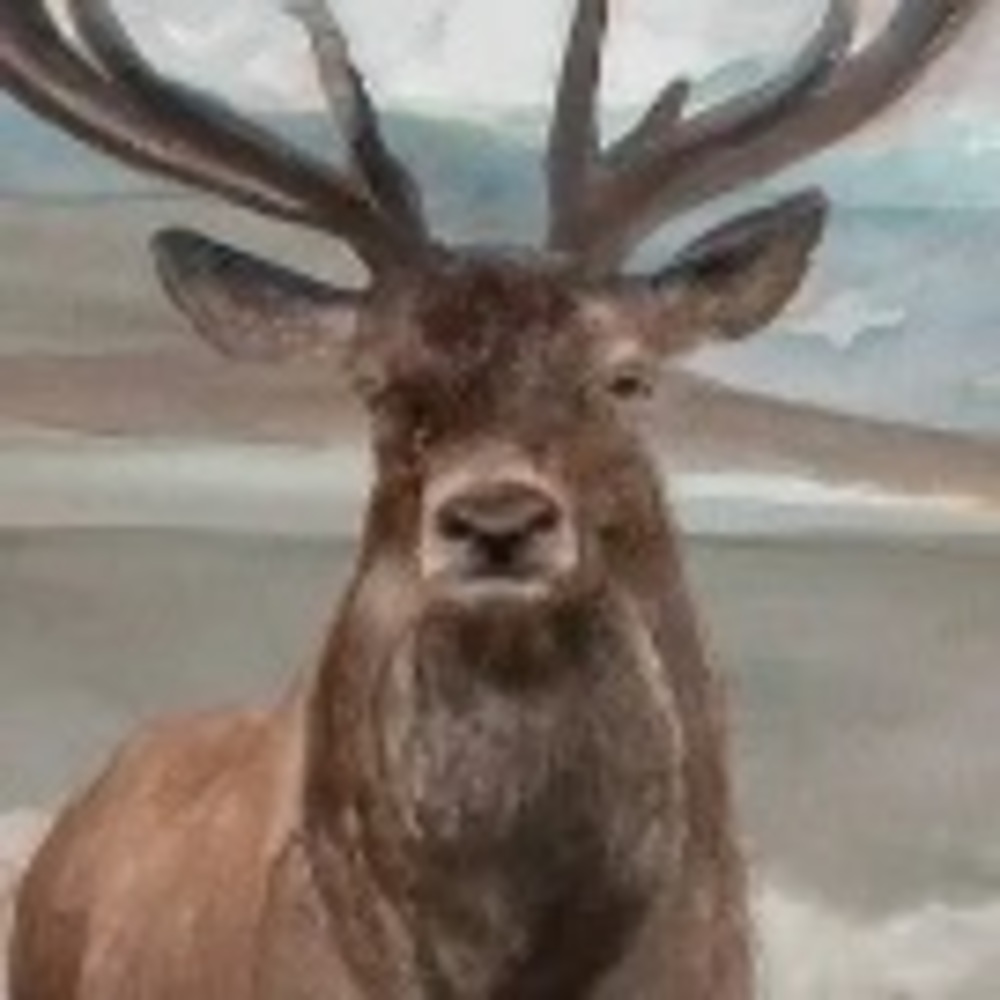 Meet your Posher, Not much